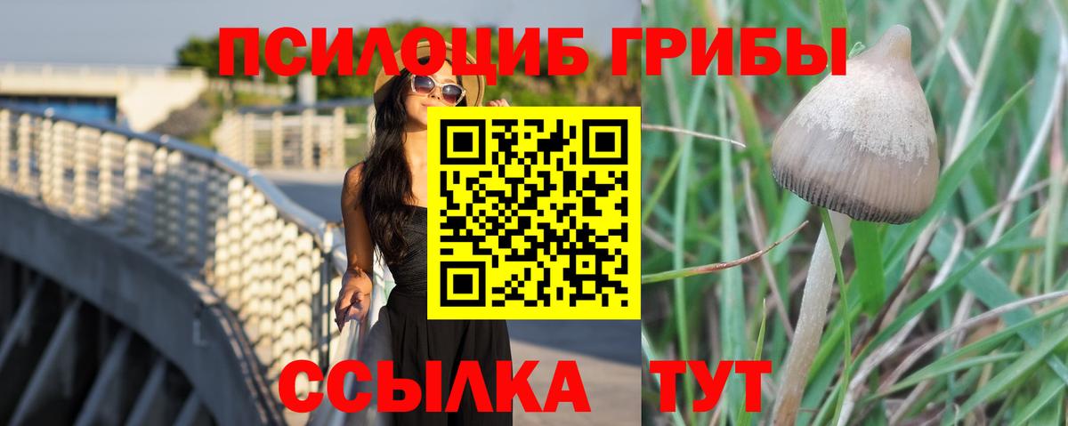 Псилоцибиновые грибы прущие грибы  Вход с VPN  Сухой Лог  Псилоцибиновые грибы Magic Shrooms 